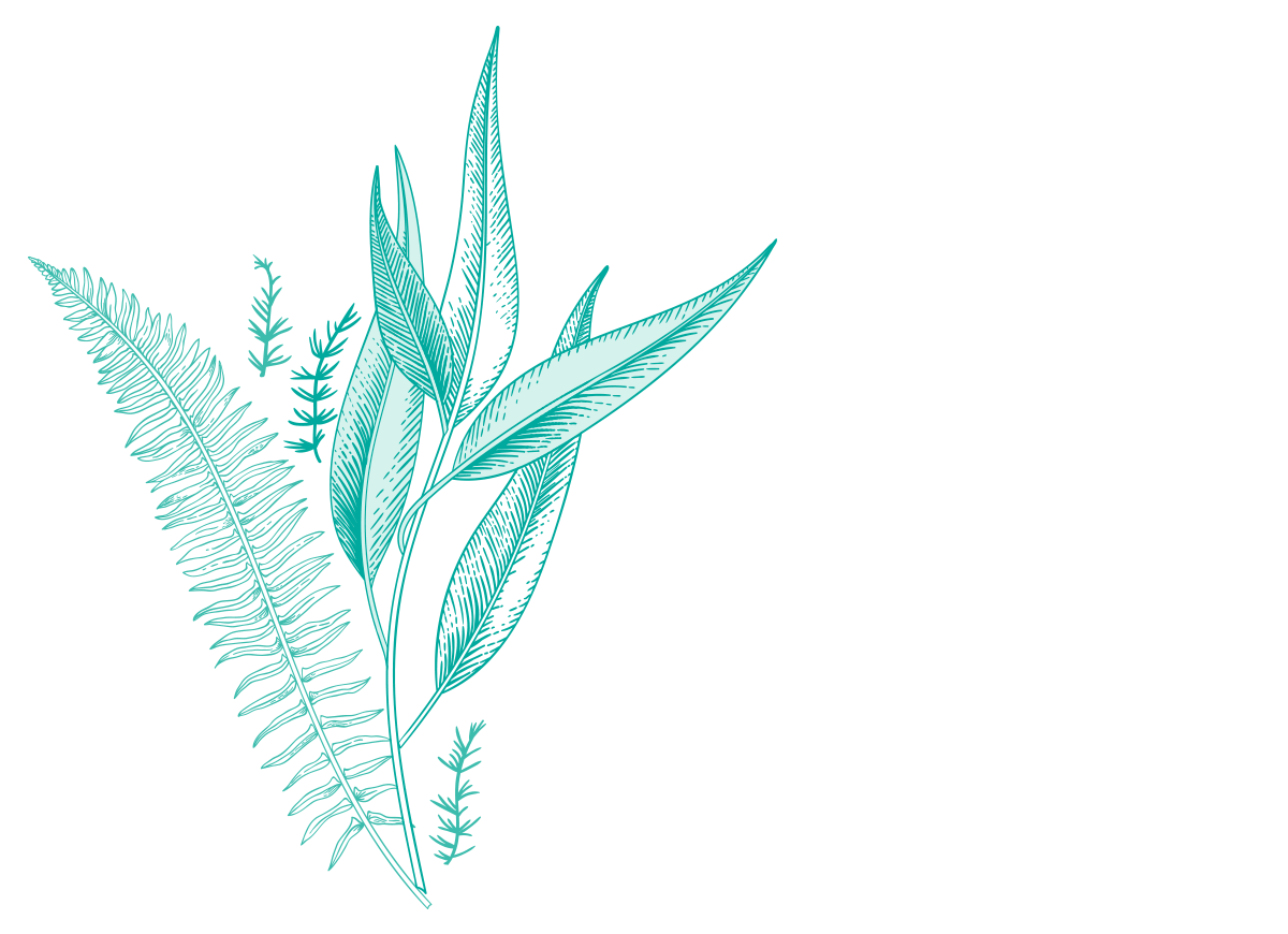 leaf animation