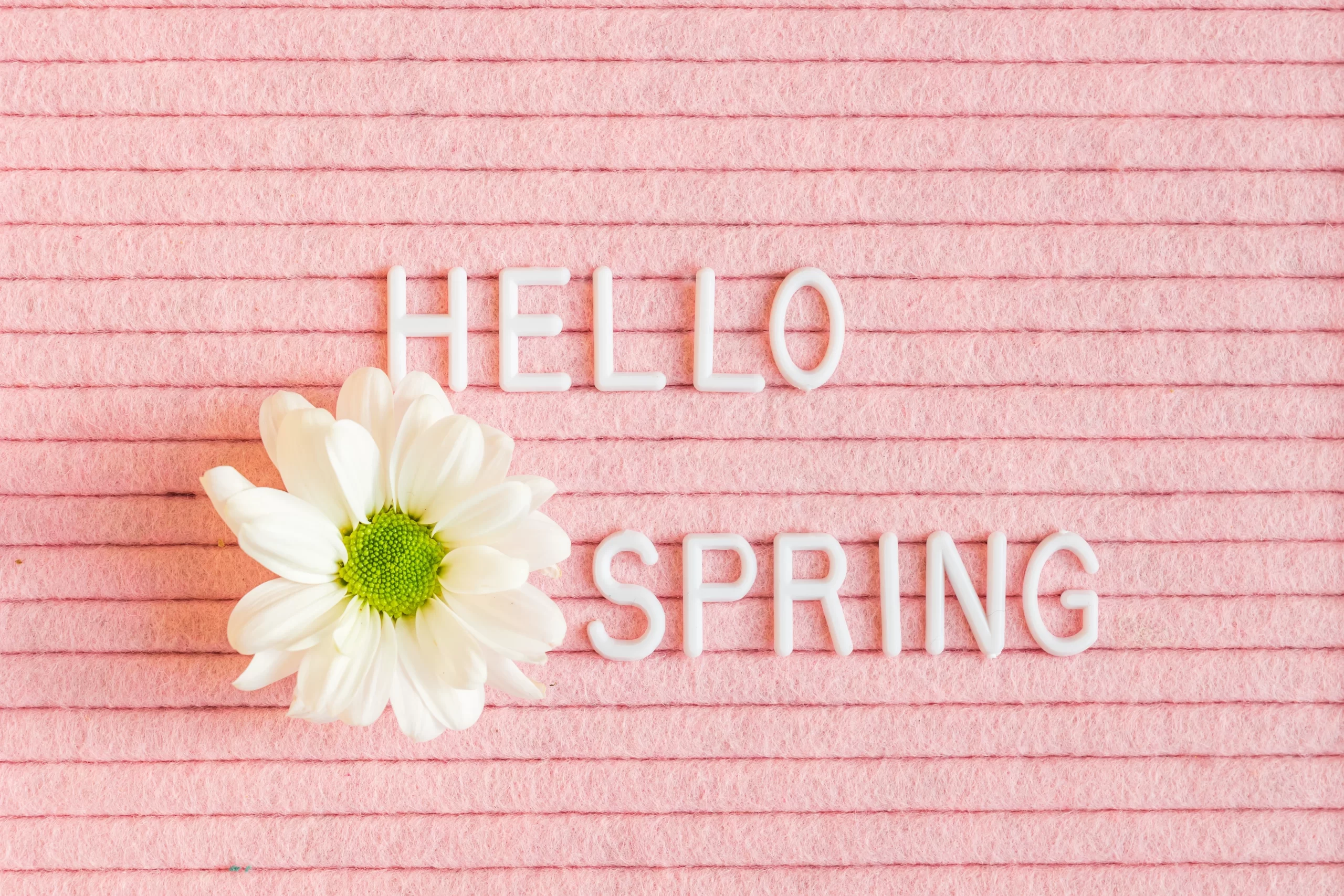 Marketing Ideas for Spring